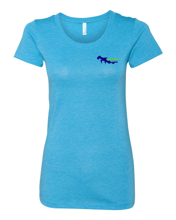 Custom Apparel - Screen Printing - HFT - Women's Triblend T-shirt - HFT - 14167