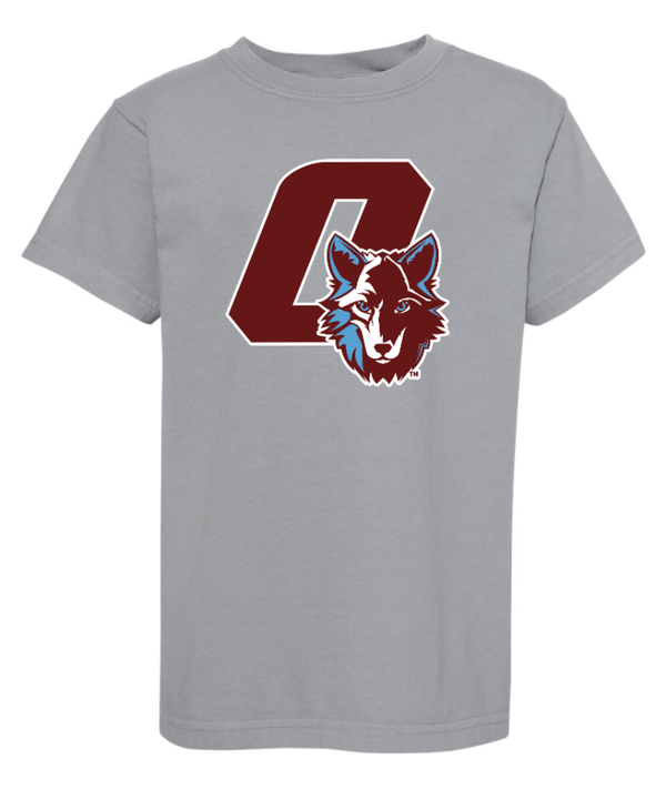 Custom Printed Apparel | Hiawatha Back to School 2025 - Youth Heavyweight T-Shirt (Chambray/Granite) - Hiawatha Back to School 2025 - 18289