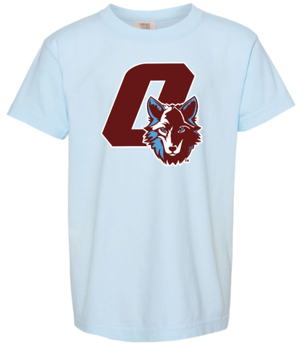 Custom Printed Apparel | Hiawatha Back to School 2025 - Youth Heavyweight T-Shirt (Chambray/Granite) - Hiawatha Back to School 2025 - 18289