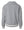 DeWitt Middle School Apparel Quarter Zip Athletic Heather/ Vanilla back view