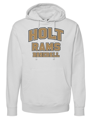 Custom Printed Apparel | Holt Baseball 2025 | Adult Unisex Hoodie "Design 2" (Smoke/Charcoal) (PERSONALIZATION OPTIONAL) - Holt Baseball W25 - 18654