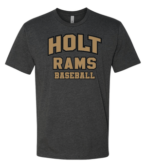 Custom Printed Apparel | Holt Baseball 2025 | Adult Unisex T-Shirt "Design 2" (Charcoal/Sand) (PERSONALIZATION OPTIONAL) - Holt Baseball W25 - 18654