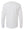 Eaton Rapids Fall Preorder Long Sleeve Ash back view