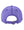 Mid-Michigan Magic Company Headwear Purple back view