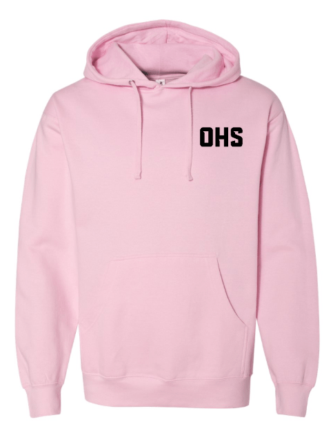 Custom Apparel - Screen Printing - Okemos BSU 2025 - Midweight Hooded Sweatshirt (Multiple Color Options) - Okemos BSU 2025 - 17189