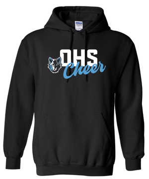 Custom Apparel - Screen Printing - Okemos Cheer - Hooded Sweatshirt - Hooded Sweatshirt - Okemos Cheer - 15119