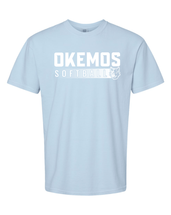 Custom Apparel - Screen Printing - Okemos Softball 2024 - Adult Unisex Heavyweight T-Shirt - Okemos Softball 2024 - 15519