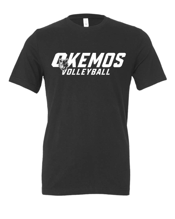 Custom Apparel - Screen Printing - Okemos Volleyball 2024 - Adult T-Shirt Blue/ Maroon/ Grey Customizable - Okemos Volleyball 2024 - 16403