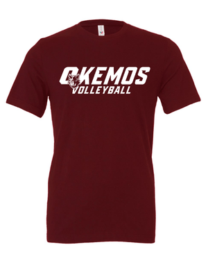 Custom Printed Apparel | Okemos Volleyball 2025 - Adult Unisex Tee (Baby Blue / Maroon / Black) Personalization Optional - OHS Volleyball - 18261