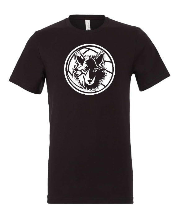 Custom Printed Apparel | Okemos Volleyball 2025 - Adult Unisex Tee (Baby Blue / Maroon / Black) Personalization Optional - OHS Volleyball - 18261