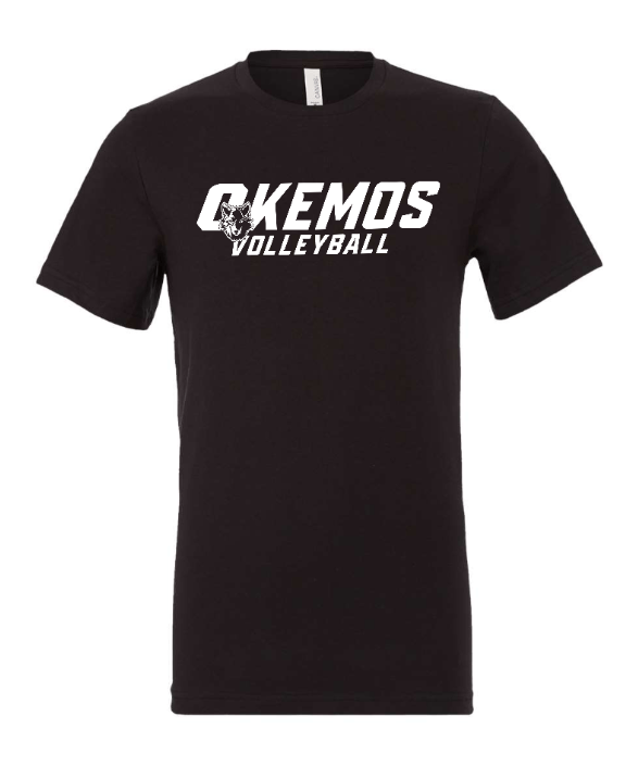 Custom Printed Apparel | Okemos Volleyball 2025 - Adult Unisex Tee (Baby Blue / Maroon / Black) Personalization Optional - OHS Volleyball - 18261