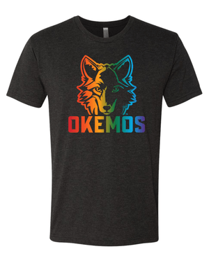 Custom Apparel - Screen Printing - Okemos Wolves Community - Adult Unisex Triblend T-Shirt (Rainbow Wolf Design) - Okemos Wolves Community - 16314