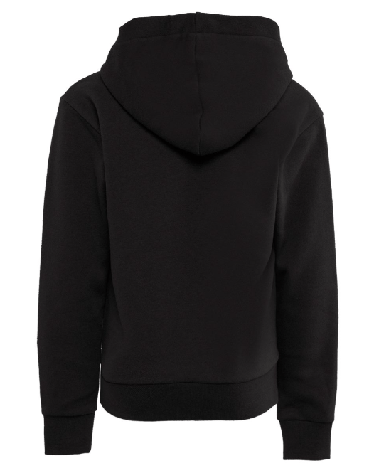 Custom Apparel - Screen Printing - Okemos Wolves Community - Youth Fleece Hoodie (Rainbow Wolf Design) - Okemos Wolves Community - 16314