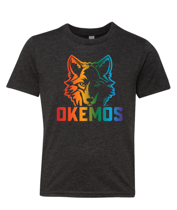 Custom Apparel - Screen Printing - Okemos Wolves Community - Youth Triblend T-Shirt (Rainbow Wolf Design) - Okemos Wolves Community - 16314