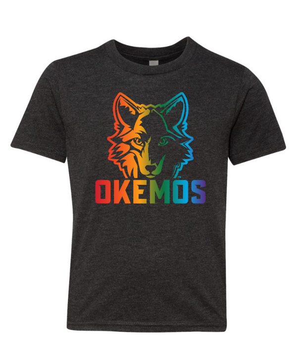 Okemos Wolves Community - Youth Triblend T-Shirt (Rainbow Wolf Design)