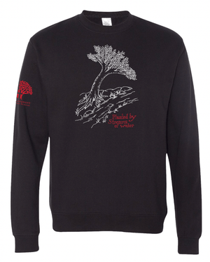 Custom Printed Apparel | ON DEMAND | NCCS | 2025 Seniors Crewneck Sweatshirt - NCCS Stock