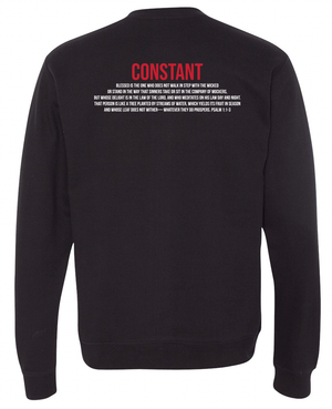 Custom Printed Apparel | ON DEMAND | NCCS | 2025 Seniors Crewneck Sweatshirt - NCCS Stock
