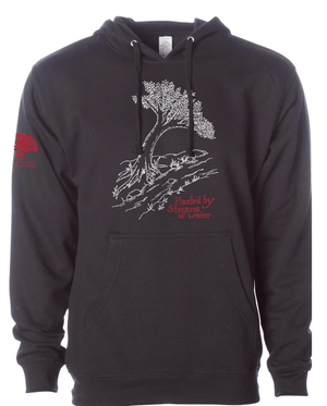 Custom Printed Apparel | ON DEMAND | NCCS | 2025 Seniors Hooded Sweatshirt - NCCS Stock