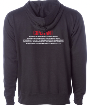 Custom Printed Apparel | ON DEMAND | NCCS | 2025 Seniors Hooded Sweatshirt - NCCS Stock