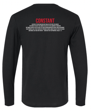 Custom Printed Apparel | ON DEMAND | NCCS | 2025 Seniors LS T-shirt - NCCS Stock