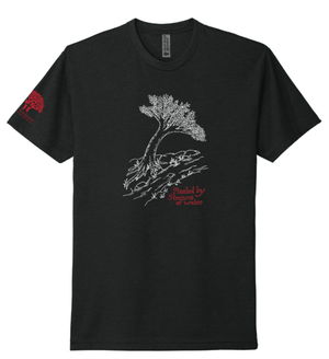 Custom Printed Apparel | ON DEMAND | NCCS | 2025 Seniors T-shirt - NCCS Stock