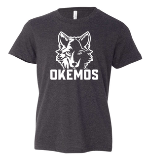 Custom Apparel - Screen Printing - OPM PTO Spring - Youth Okemos T-Shirt - OPM PTO Spring - 15509