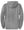 DeWitt Middle School Apparel Zip Up Hoodie Athletic Heather back view