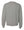 Custom Apparel - Screen Printing - Raider PTO Fundraiser - Unisex Crewneck Sweatshirt - Crewneck - Raider PTO - 14388