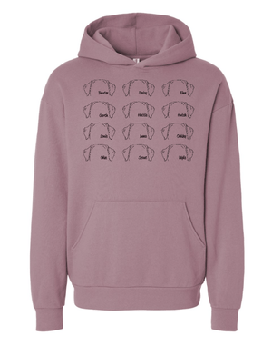 Custom Apparel - Screen Printing - South Lyon Ed. Foundation - Spring - Adult Unisex Hoodie (Multiple Options Available) - South Lyon Ed. Foundation - 17296