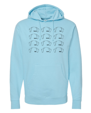 Custom Apparel - Screen Printing - South Lyon Ed. Foundation - Spring - Adult Unisex Hoodie (Multiple Options Available) - South Lyon Ed. Foundation - 17296