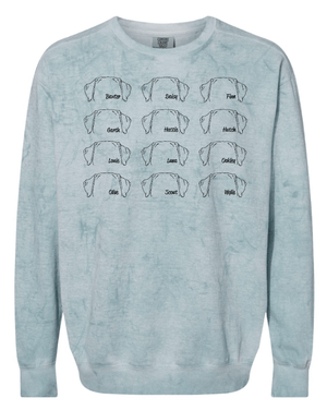Custom Apparel - Screen Printing - South Lyon Ed. Foundation - Spring - ColorBlast Crewneck Sweatshirt - South Lyon Ed. Foundation - 17296