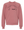 Custom Apparel - Screen Printing - South Lyon Ed. Foundation - Spring - Youth Fleece Crewneck Sweatshirt - South Lyon Ed. Foundation - 17296