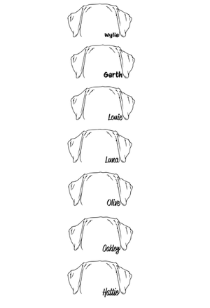 Custom Apparel - Screen Printing - South Lyon Educational Foundation Fundraiser - Adult Three - Quarter Sleeve Baseball T-Shirt - South Lyon Educational Foundation Fundraiser - 16879