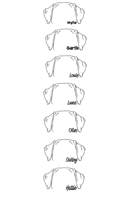 Custom Apparel - Screen Printing - South Lyon Educational Foundation Fundraiser - Adult Three - Quarter Sleeve Baseball T-Shirt - South Lyon Educational Foundation Fundraiser - 16879
