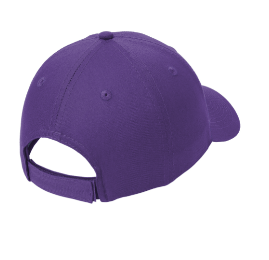Custom Apparel - Screen Printing - Sunburst Elementary School - 50th Anniversary - Twill Cap - Sunburst Elementary School - 16934