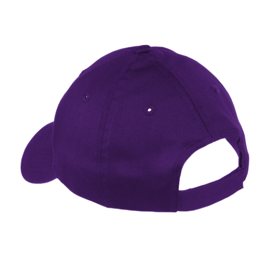 Custom Apparel - Screen Printing - Sunburst Elementary School - 50th Anniversary - Youth Twill Cap - Sunburst Elementary School - 16934