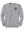 Custom Printed Apparel | Unisex Crewneck Sweatshirt | Coram Deo Academics - Coram Deo 2026 - 19830