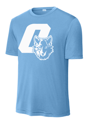 Custom Printed Apparel | Unisex Performance T-Shirt | Cornell Elementary - Cornell - 19720