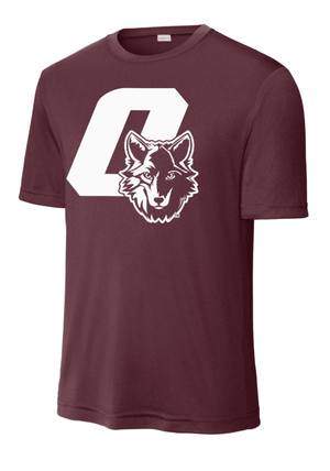 Custom Printed Apparel | Unisex Performance T-Shirt | Cornell Elementary - Cornell - 19720