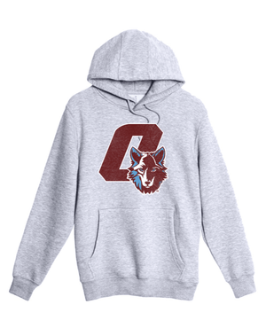 Custom Printed Apparel | Unisex Premium Hooded Sweatshirt | Okemos Wolves Spirit Wear - Okemos Public Schools