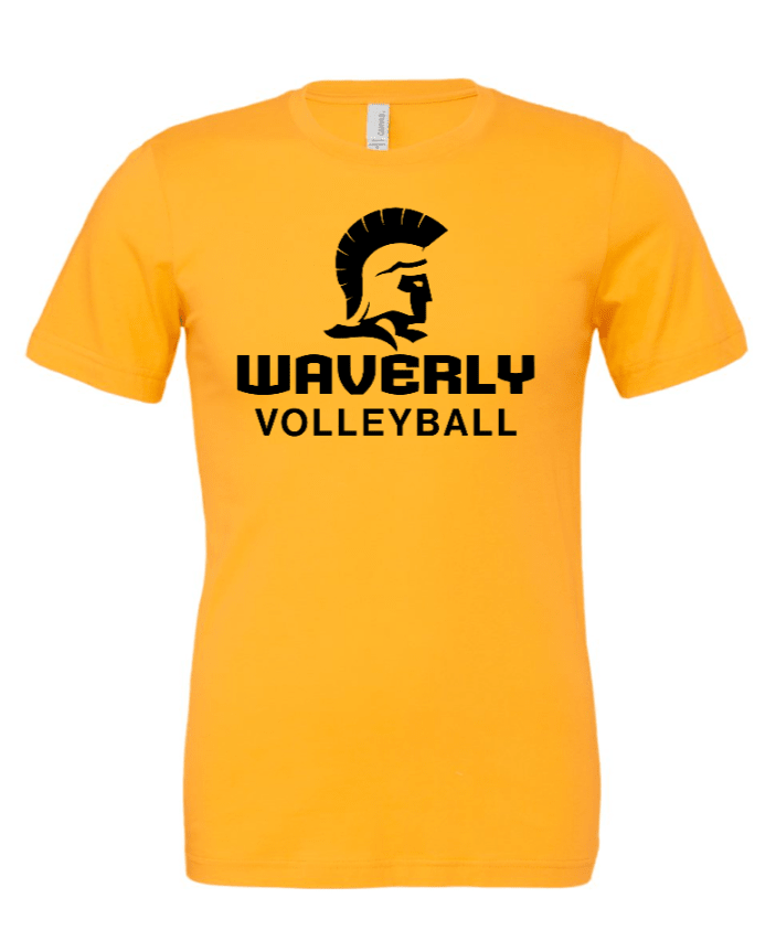 Waverly HS Volleyball