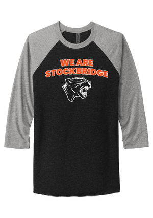 Custom Printed Apparel | Unisex Tri-Blend 3/4 Sleeve T-Shirt | Stockbridge Panthers - Stockbridge - 19879
