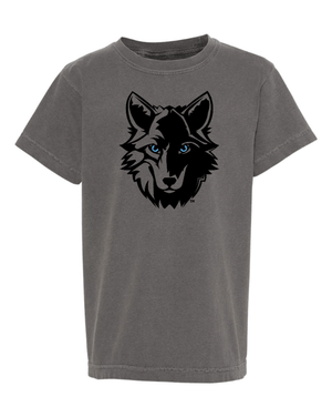 Custom Apparel - Screen Printing - Walk on Wellness - Youth Heavyweight T-Shirt - Walk on Wellness - 15066