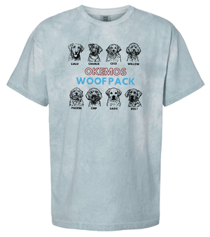 Custom Printed Apparel | Woof Pack 2025 - Woof Pack Dogs Heavyweight T-Shirt (Grey/Light Blue) - Woof Pack 2025 - 18247