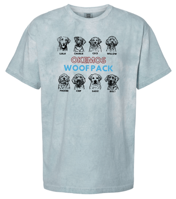 Custom Printed Apparel | Woof Pack 2025 - Woof Pack Dogs Heavyweight T-Shirt (Grey/Light Blue) - Woof Pack 2025 - 18247