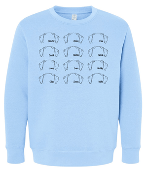 Custom Printed Apparel | Youth Custom Crewneck - Multiple Designs Available | South Lyon Educational Foundation - SL Edu. Foundation - 19148