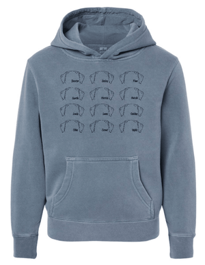 Custom Printed Apparel | Youth Custom Hoodie - Multiple Designs Available | South Lyon Educational Foundation - SL Edu. Foundation - 19148