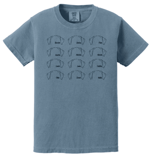 Custom Printed Apparel | Youth Custom T-Shirt - Multiple Designs Available | South Lyon Educational Foundation - SL Edu. Foundation - 19148
