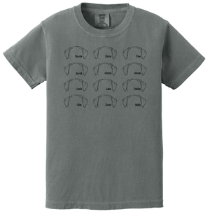 Custom Printed Apparel | Youth Custom T-Shirt - Multiple Designs Available | South Lyon Educational Foundation - SL Edu. Foundation - 19148