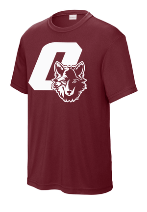 Custom Printed Apparel | Youth Performance T-Shirt | Cornell Elementary - Cornell - 19720